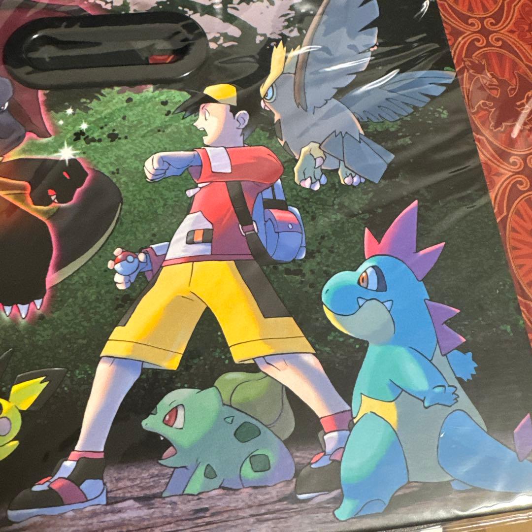 【新品未開封】光るポケモンとの遭遇　ファイルボックス　かがやく　リザードン