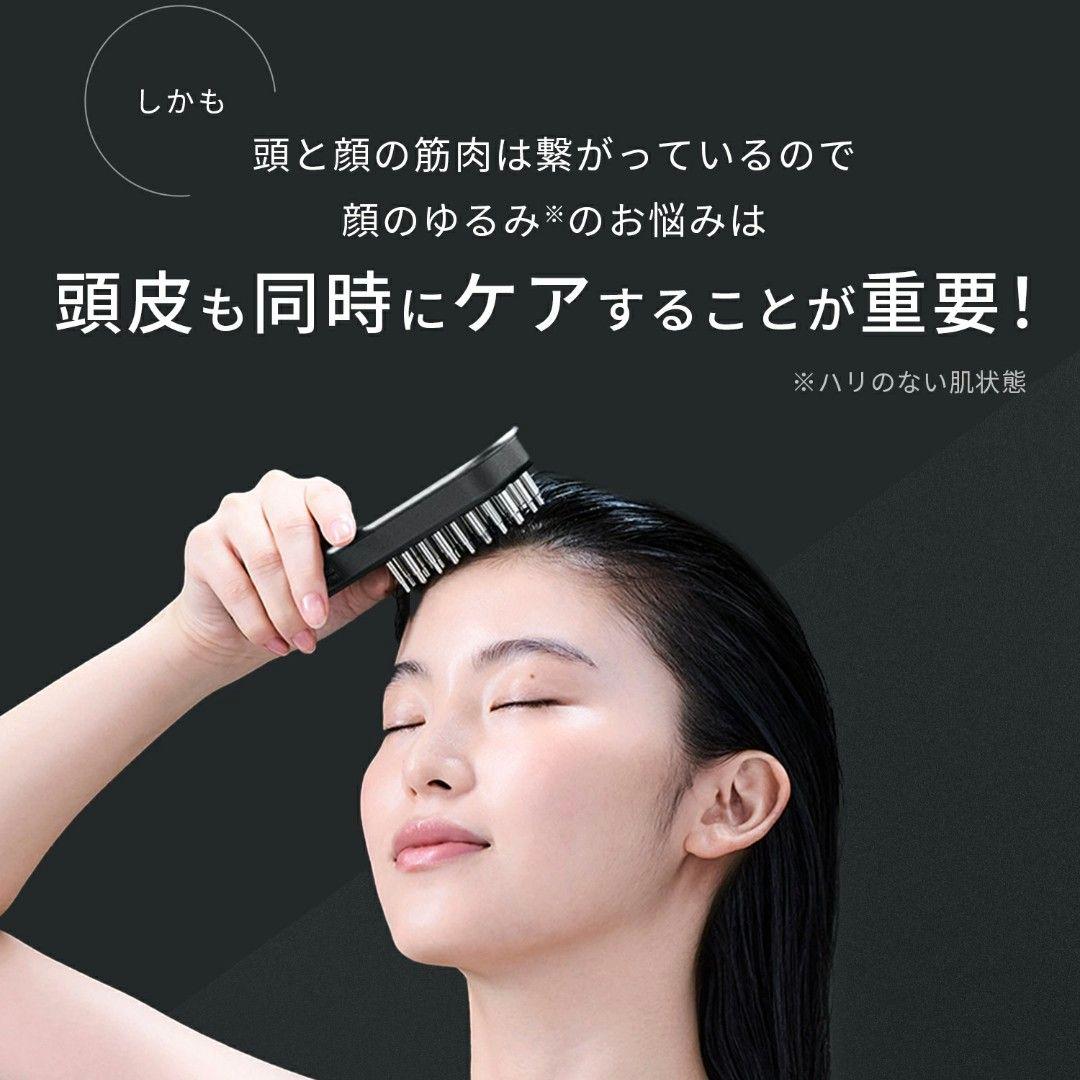【新品未開封】最上位モデル SALONIA EMS LIFT BRUSH 3D