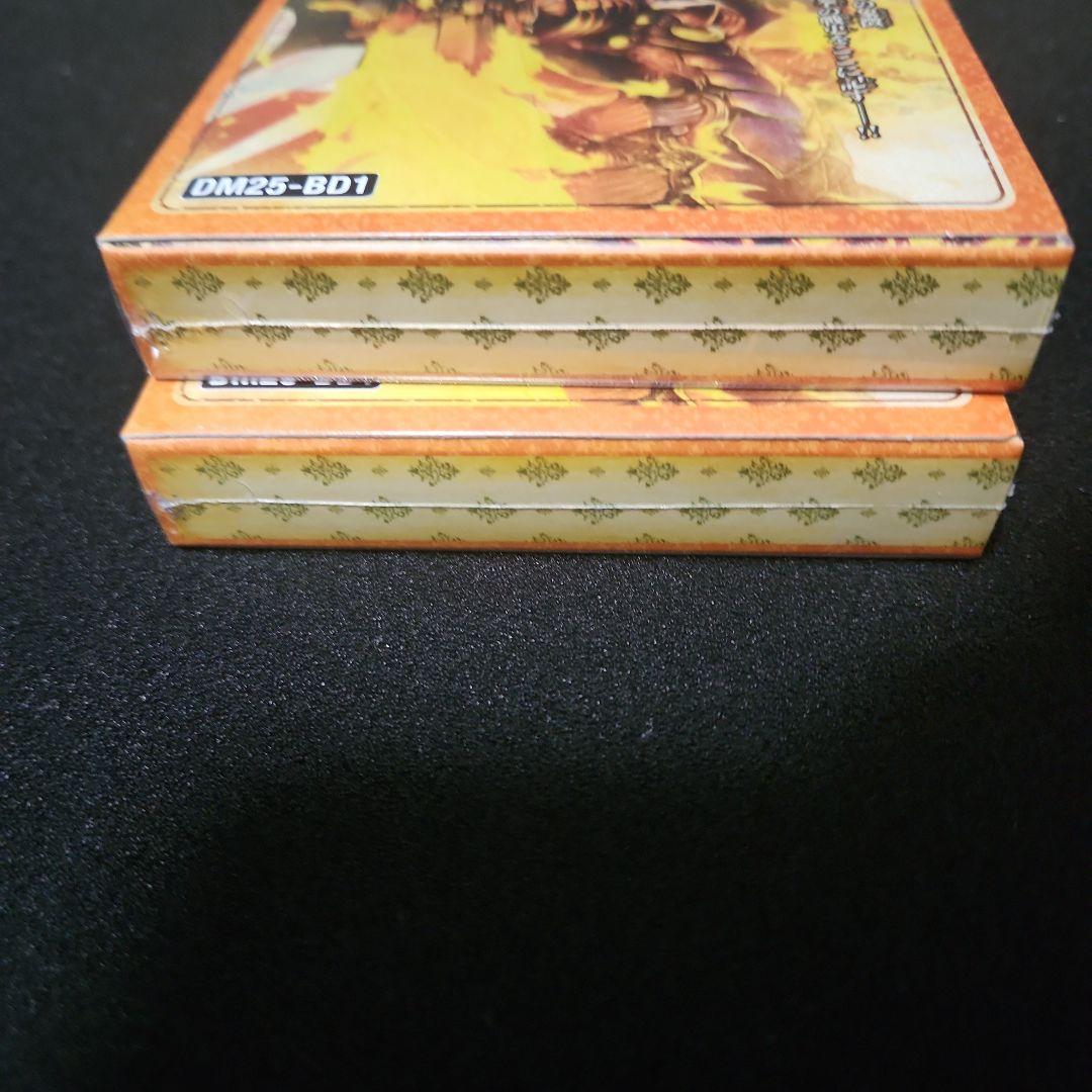 ボルシャックの書 新品未開封