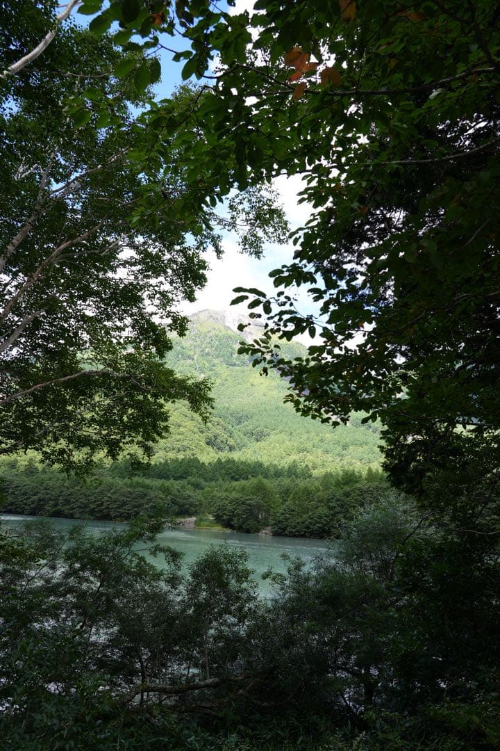 極美品 SONY FE 24-105mm F4 G OSS SEL24105G