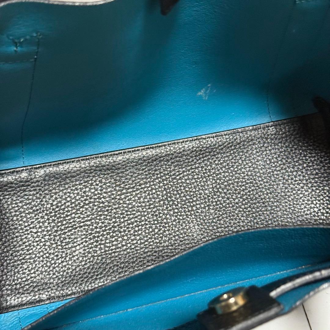 ⭐️極美品⭐️ ペッレモルビダ　テーラマリーナ　ブラック　ミニトート　シボ革