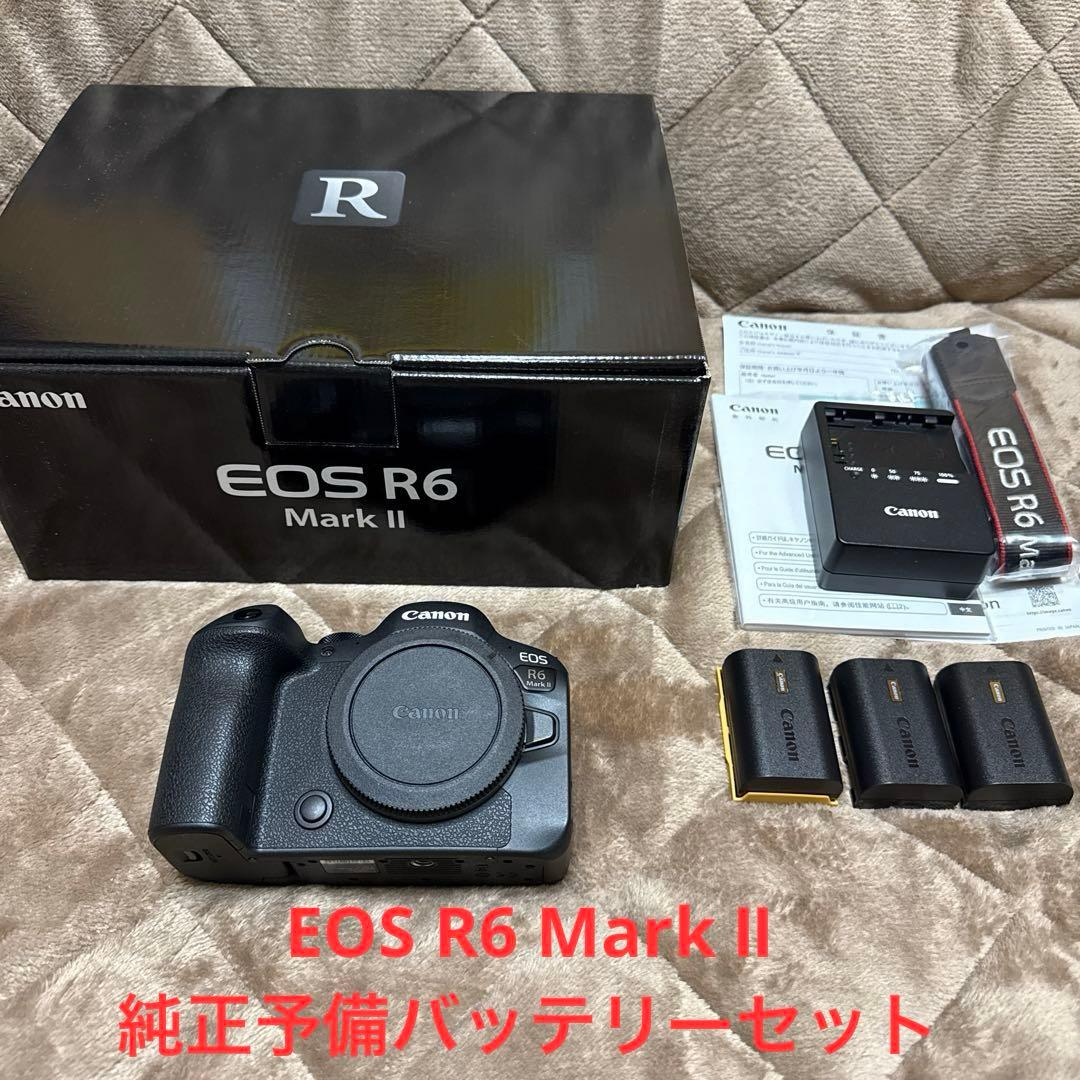 Canon EOS R6 Mark Ⅱ 純正予備バッテリーセット