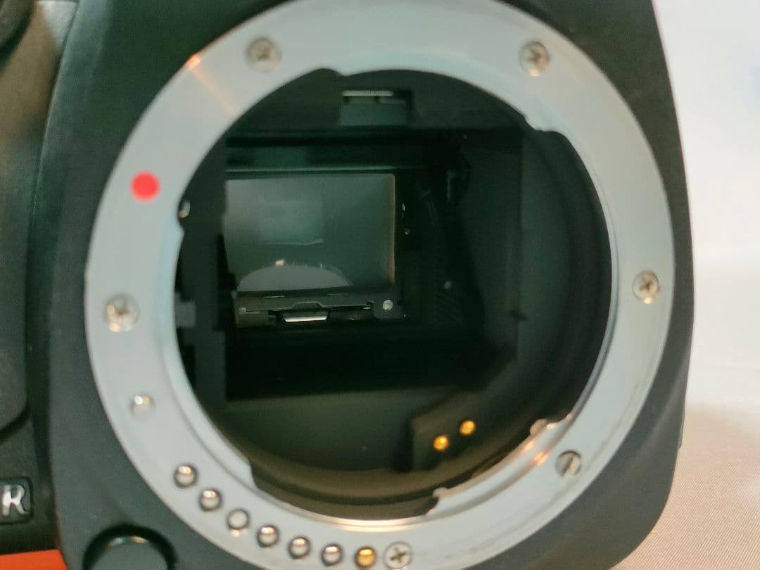 PENTAX K-S2 オレンジ 3,329回