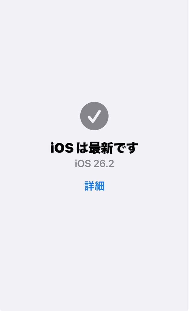 iPhone15Pro 128G バッテリー95% 極美品