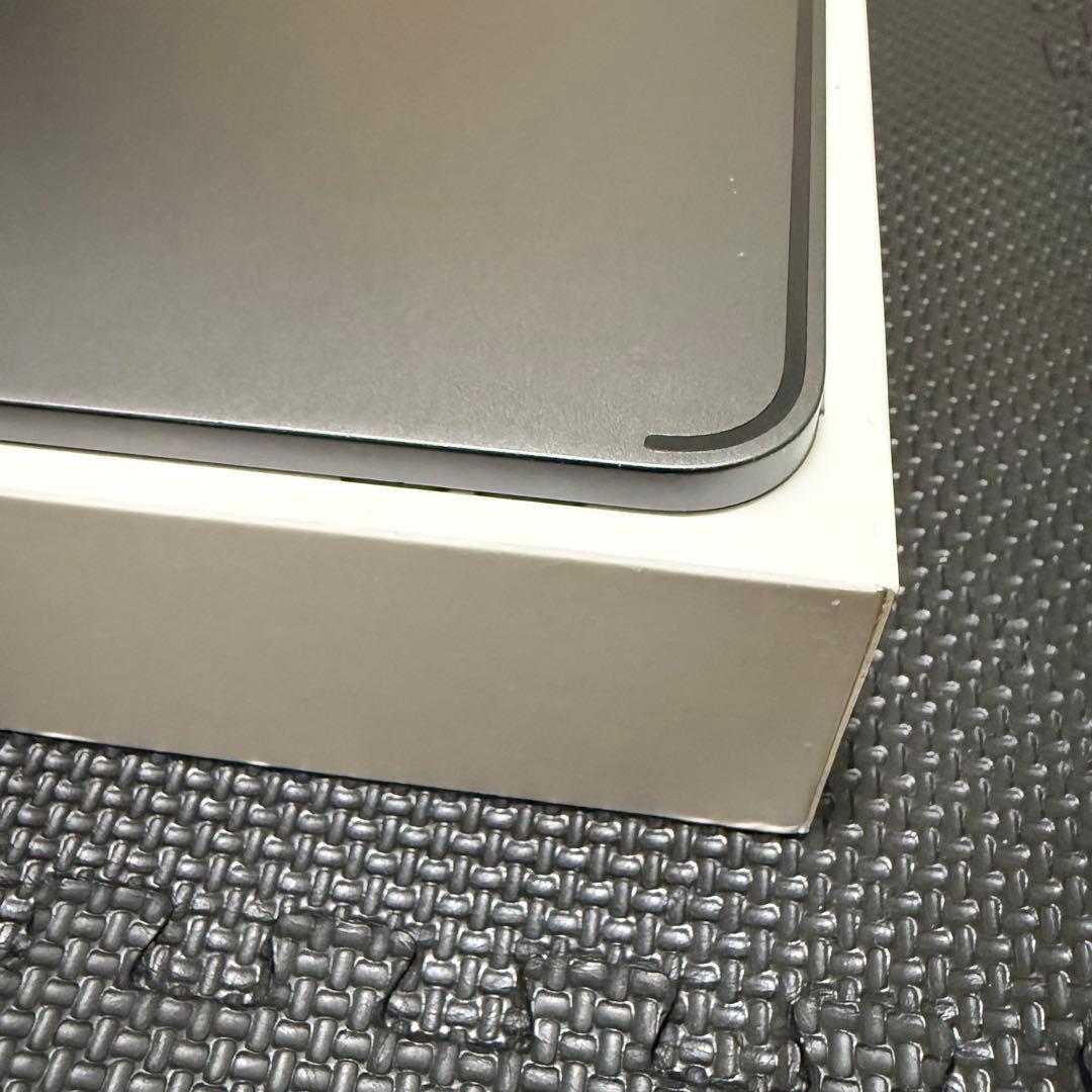 超美品 iPad Pro 第2世代 12.9インチ Wi-Fi 1TB +α