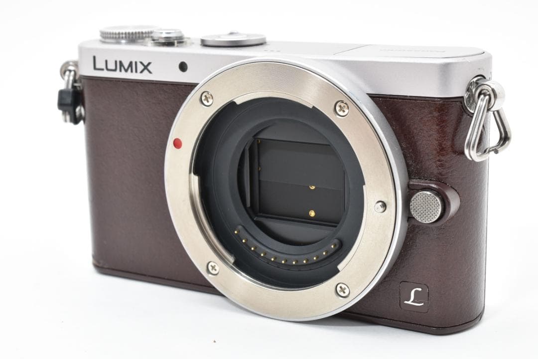 Panasonic LUMIX DMC-GM1S ミラーレス一眼カメラ ボディ