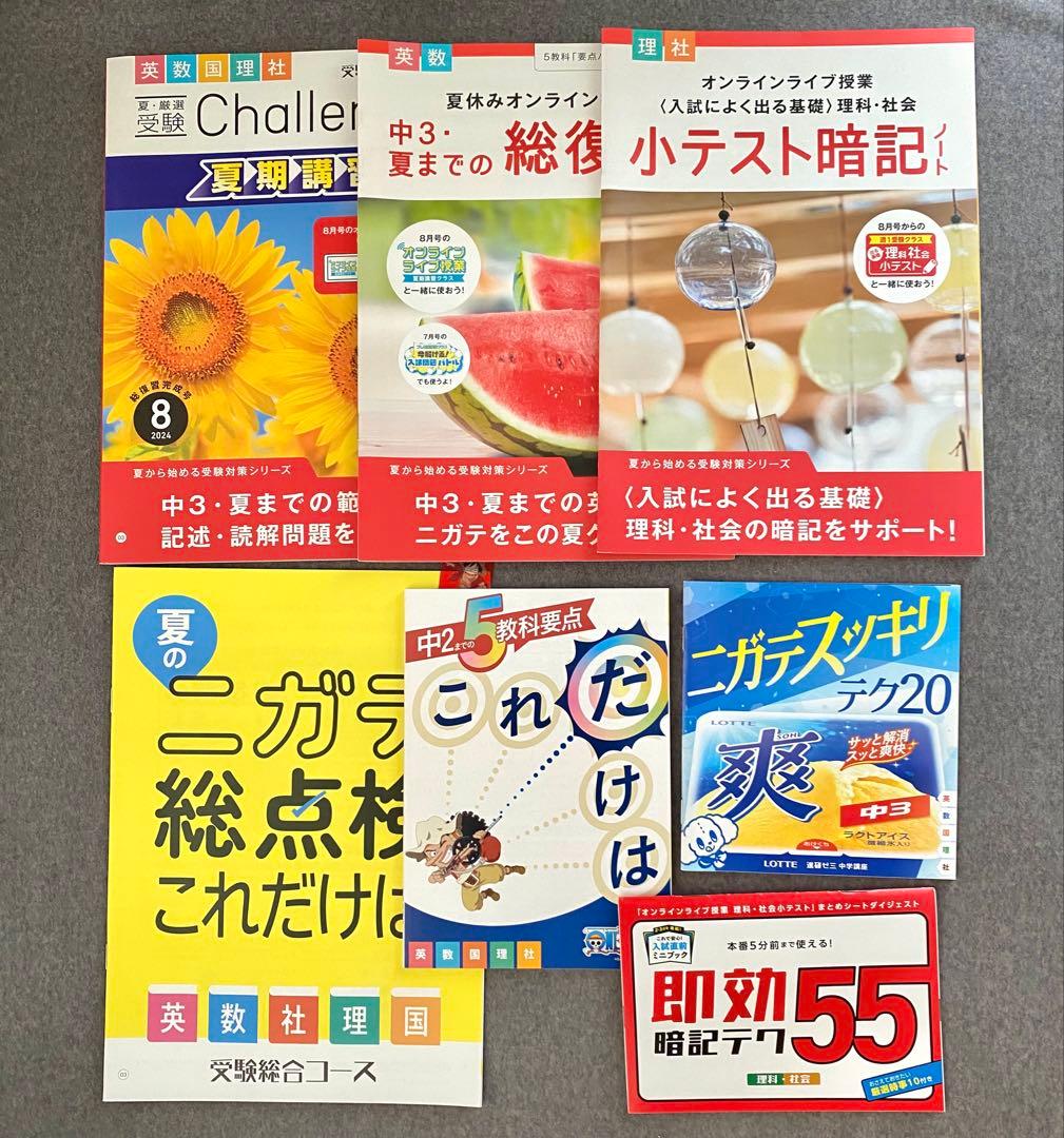 進研ゼミ 中学講座 中3 受験総合コース 愛知県高校入試対策　1年分