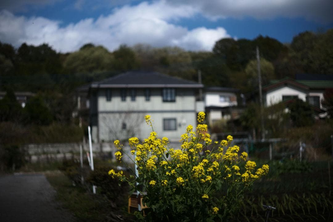 CANON LENS 50mm F1.8 ライカL39マウント