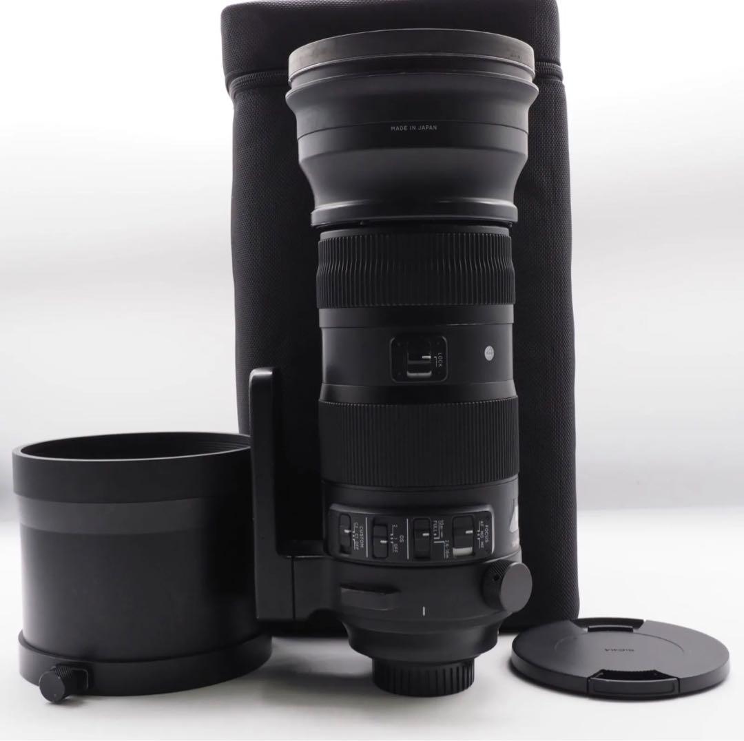 SIGMA 150-600mm Sports 大セール‼️
