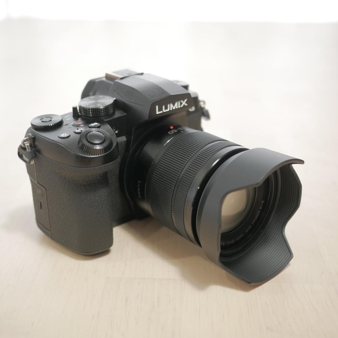 中古美品 LUMIX G99D レンズセット G VARIO 12-60mm
