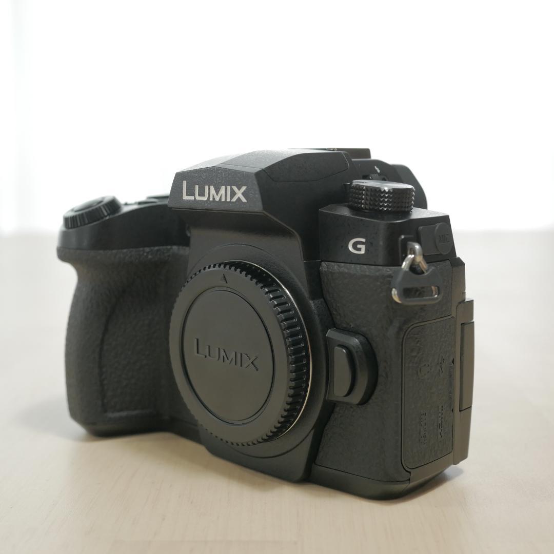 中古美品 LUMIX G99D レンズセット G VARIO 12-60mm