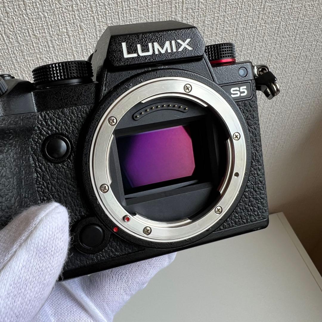 【現状品】Panasonic LUMIX DC-S5 ボディ（電源入らず）