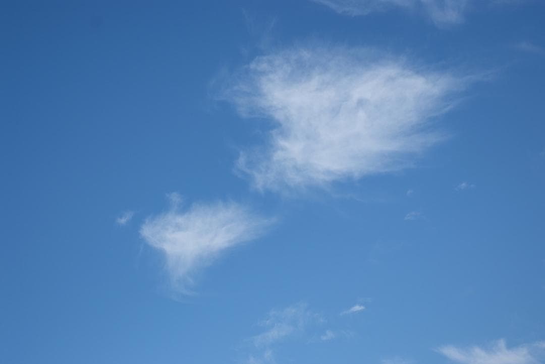 【名機】FUJIFILM FinePix S5 Pro　MB-D200 一眼レフ