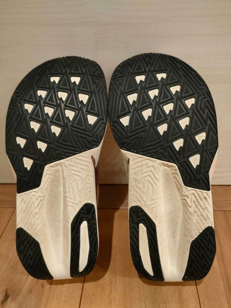 【値下げ中】フューエルセル レベル v5