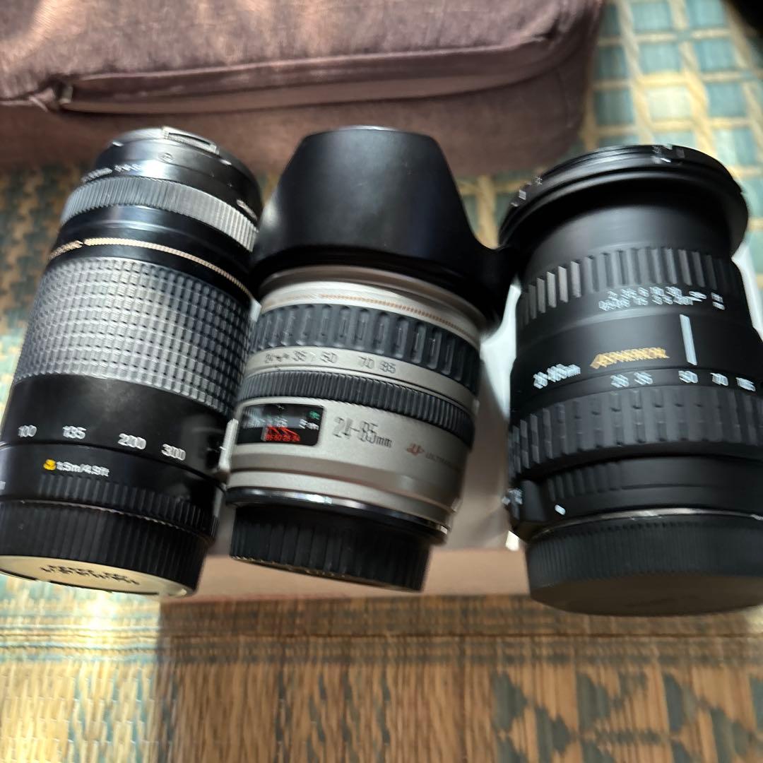 Canon EOS-1D X カメラバッテリー、レンズ、CF.取説、充電器付き