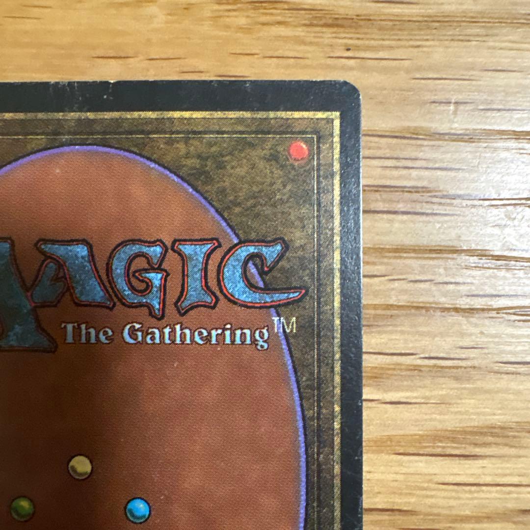 Tropical  トロピカルランド デュアルランド