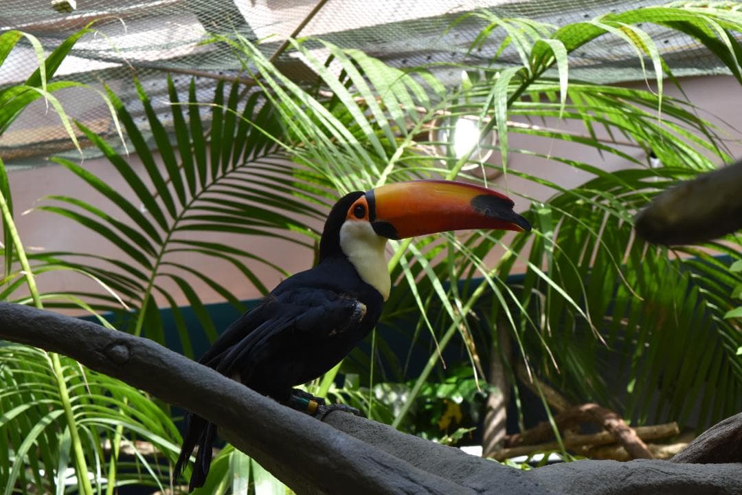 Nikon D5500 ダブルズームキット シャッター回数:1457