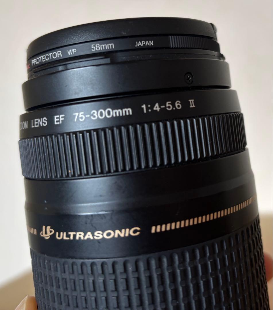Canon ZOOM LENS EF 75-300mm 1:4-5.6 Ⅱ