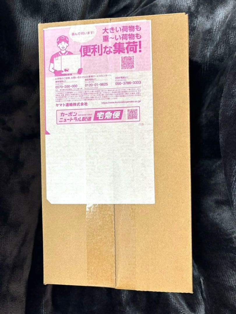 【新品未開封】『即日発送』ポケモンセンター スペシャルBOXヒロシマ