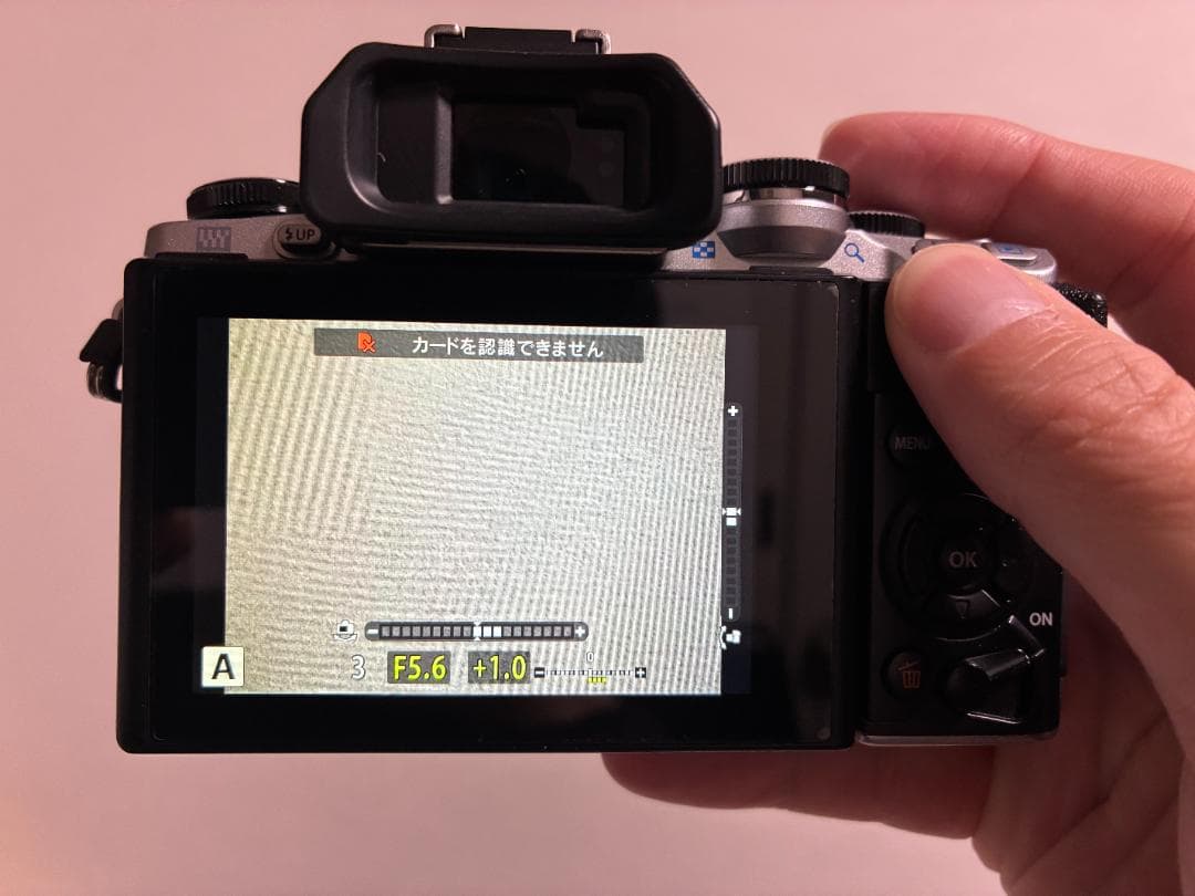 ☆ショット3429回 OLYMPUS OM-D E-M10 14-42　＃362