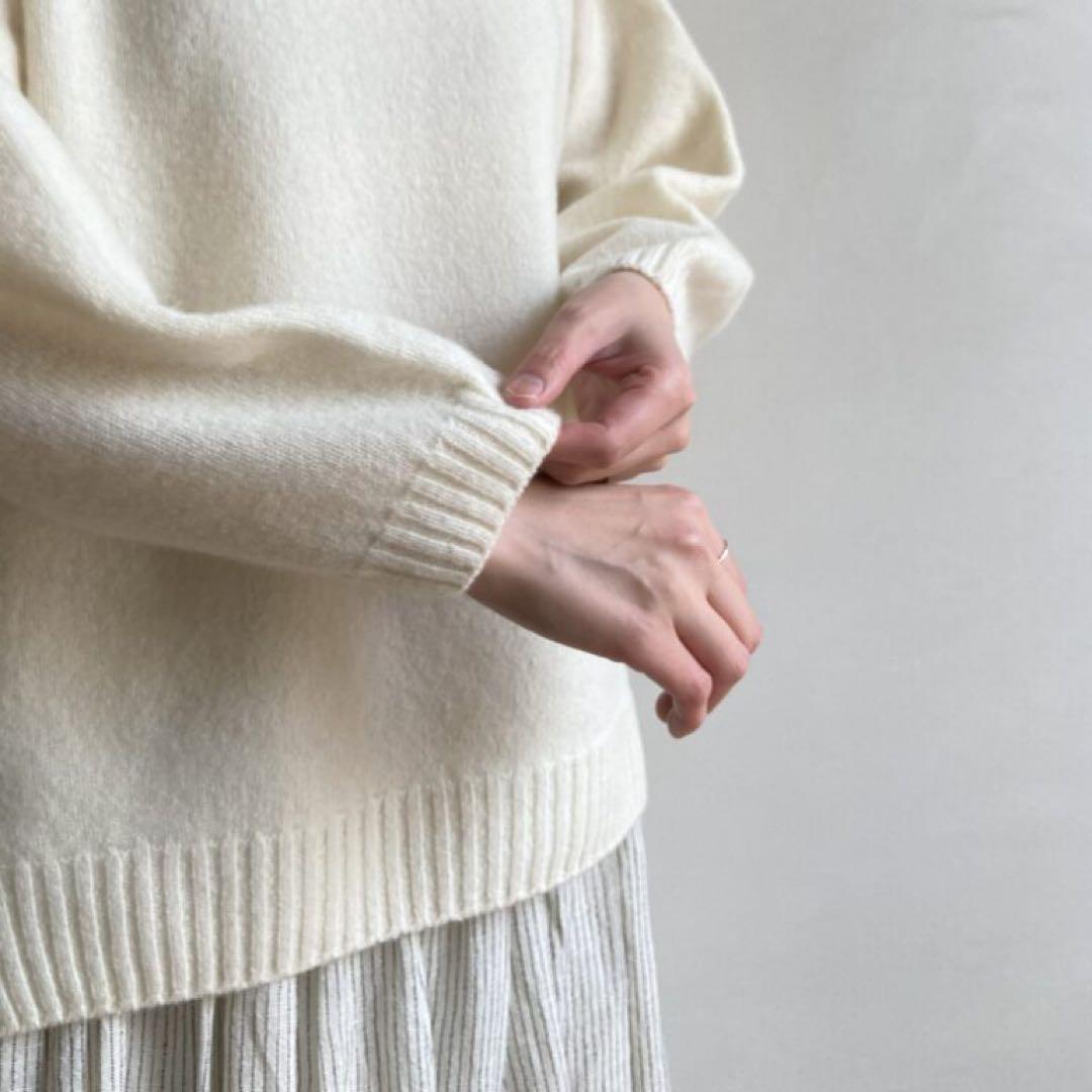 ハンズオブクリエィション　タートルニット　evam eva えみおわす