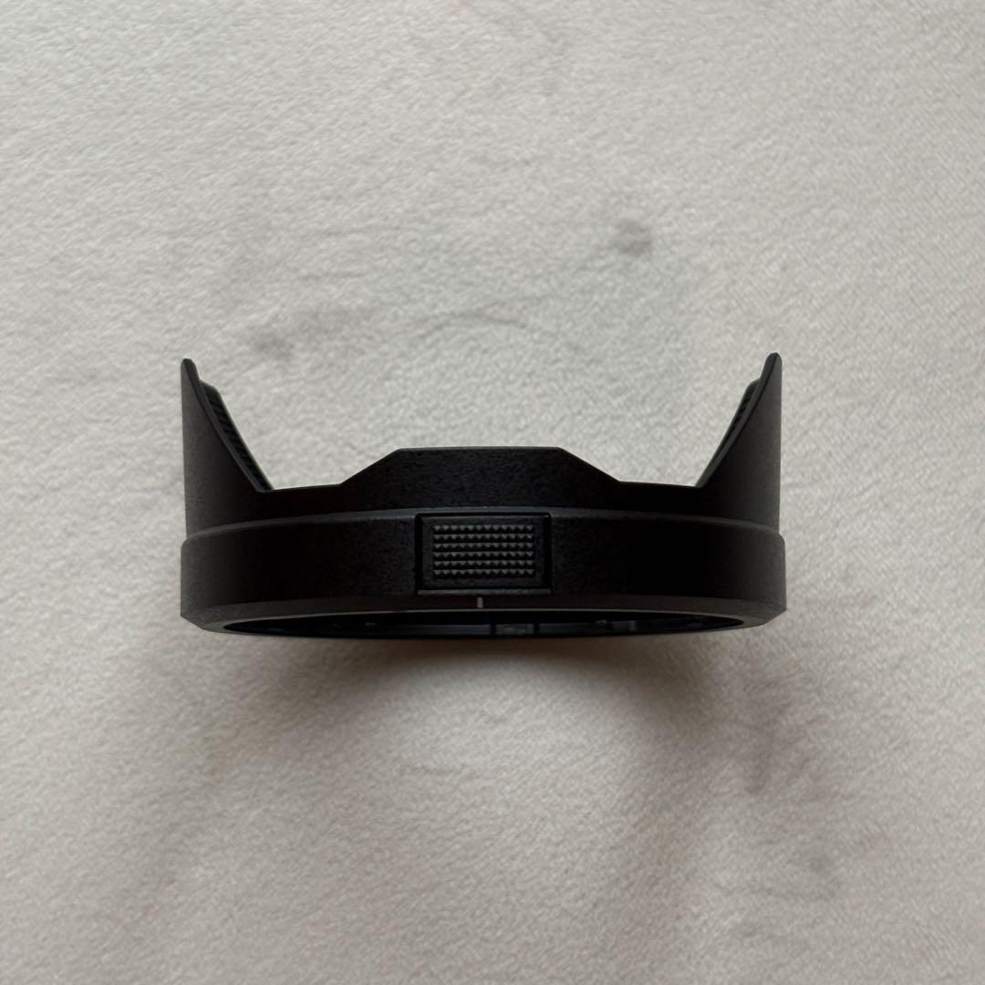 レンズ(ズーム) LUMIX 20-60 f3.5-5.6