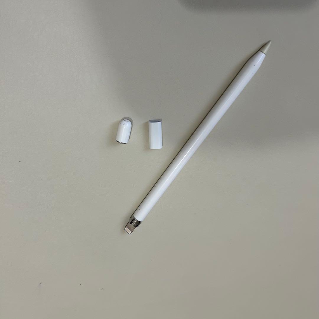 [中古]iPad mini 第5世代　256GB 付属品多数