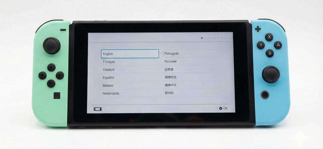 M*様 256GB SD付きNintendo Switch 本体 どうぶつの森デ