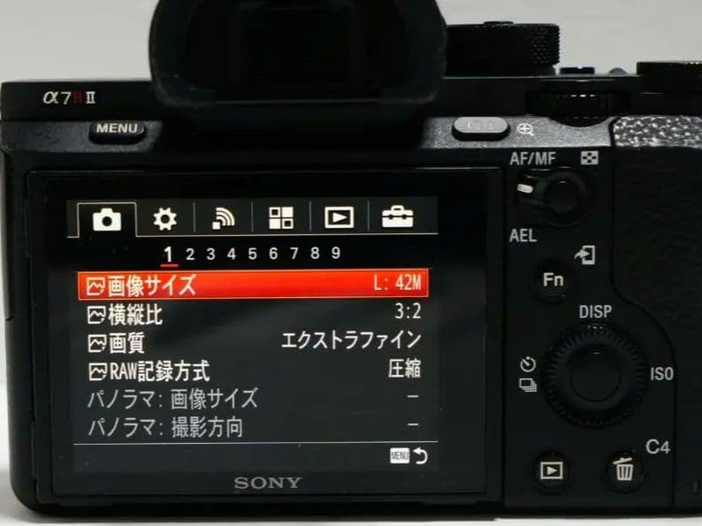年明けセール！機関良好！ショット数 17973回！ SONY α7RII