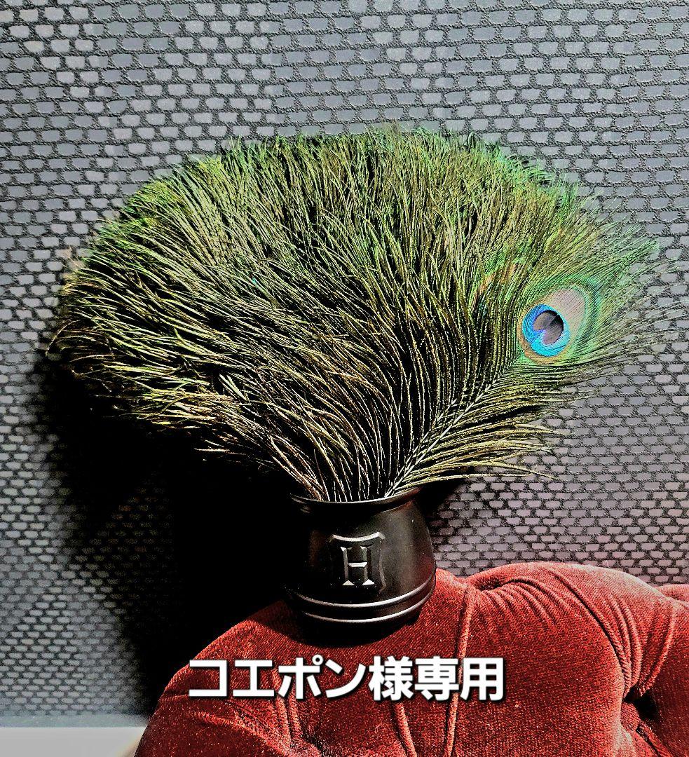 コエポン　ピーコックアイ100本