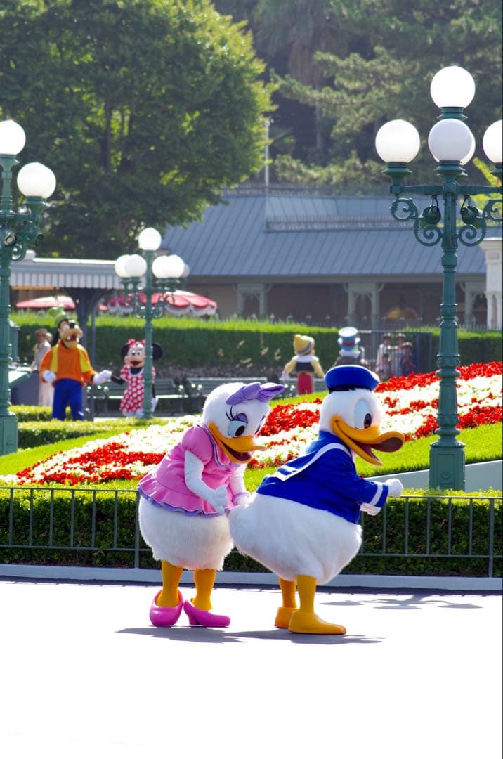 PENTAX K-50 ピンク レンズ3本セット