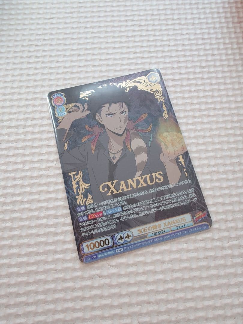 XANXUS ヴァイスシュバルツブラウ