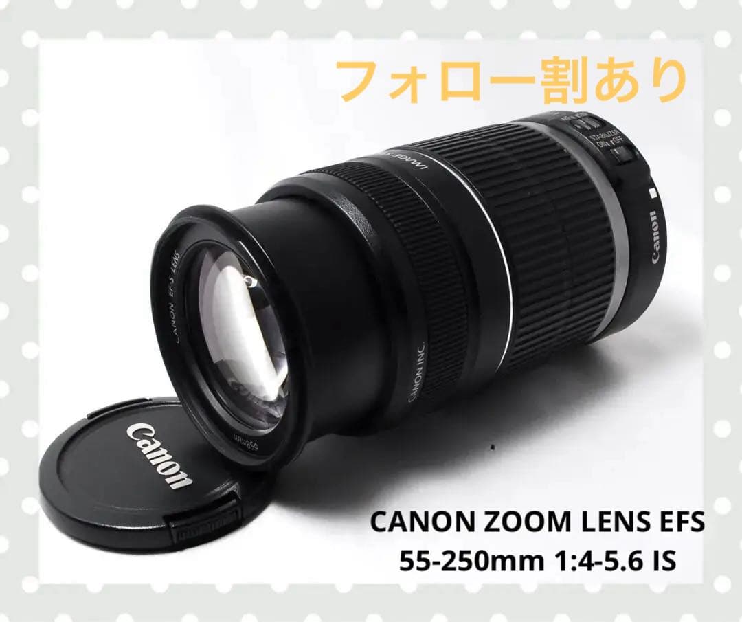 専用 CANON ZOOM LENS EFS 55-250 1:4-5.6 IS