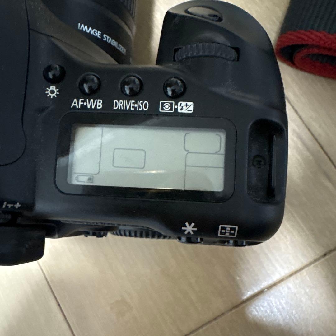 【完動品】Canon DS126131 デジタル一眼レフ