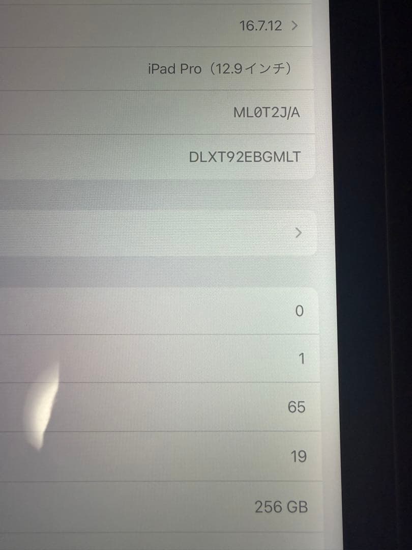 さ*な様 Apple iPad Pro 12.9インチ 256GB