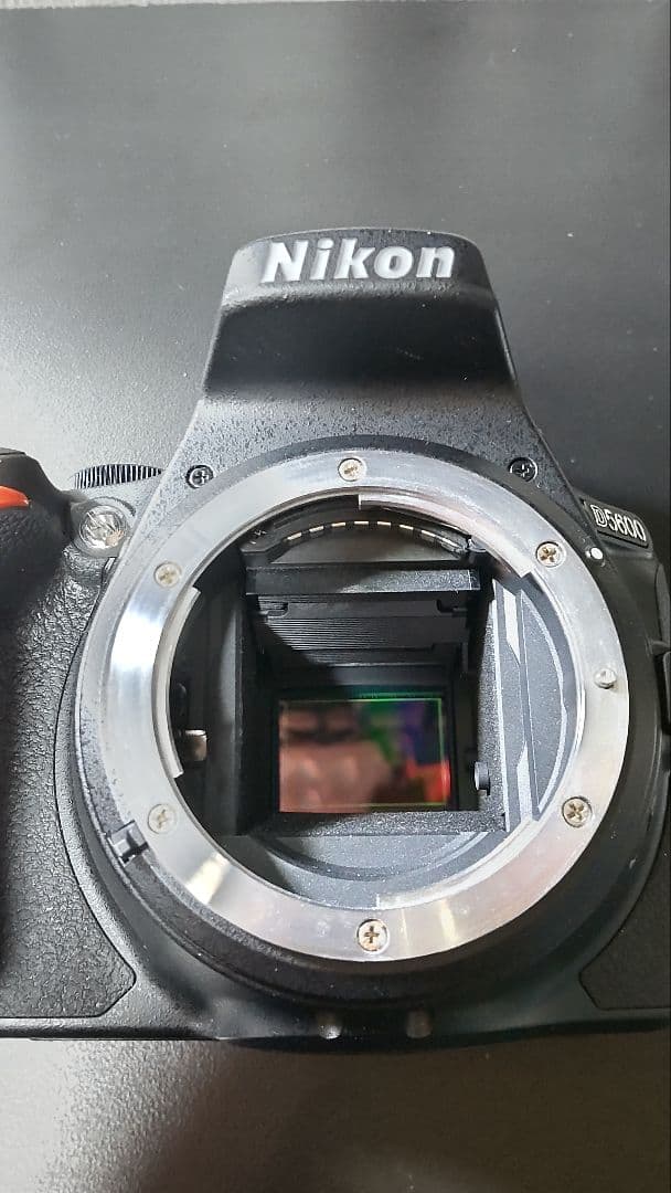 ♫ 美品 大口径レンズ付Nikon D5600 デジタル一眼レフ