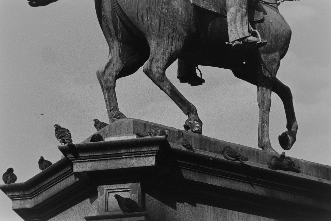 Nikon FA ボディのみ