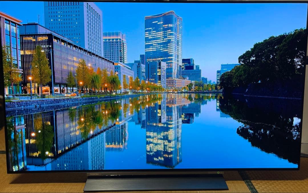 東芝 REGZA 55X830 55インチ 有機ELテレビ 美品 付属品完備