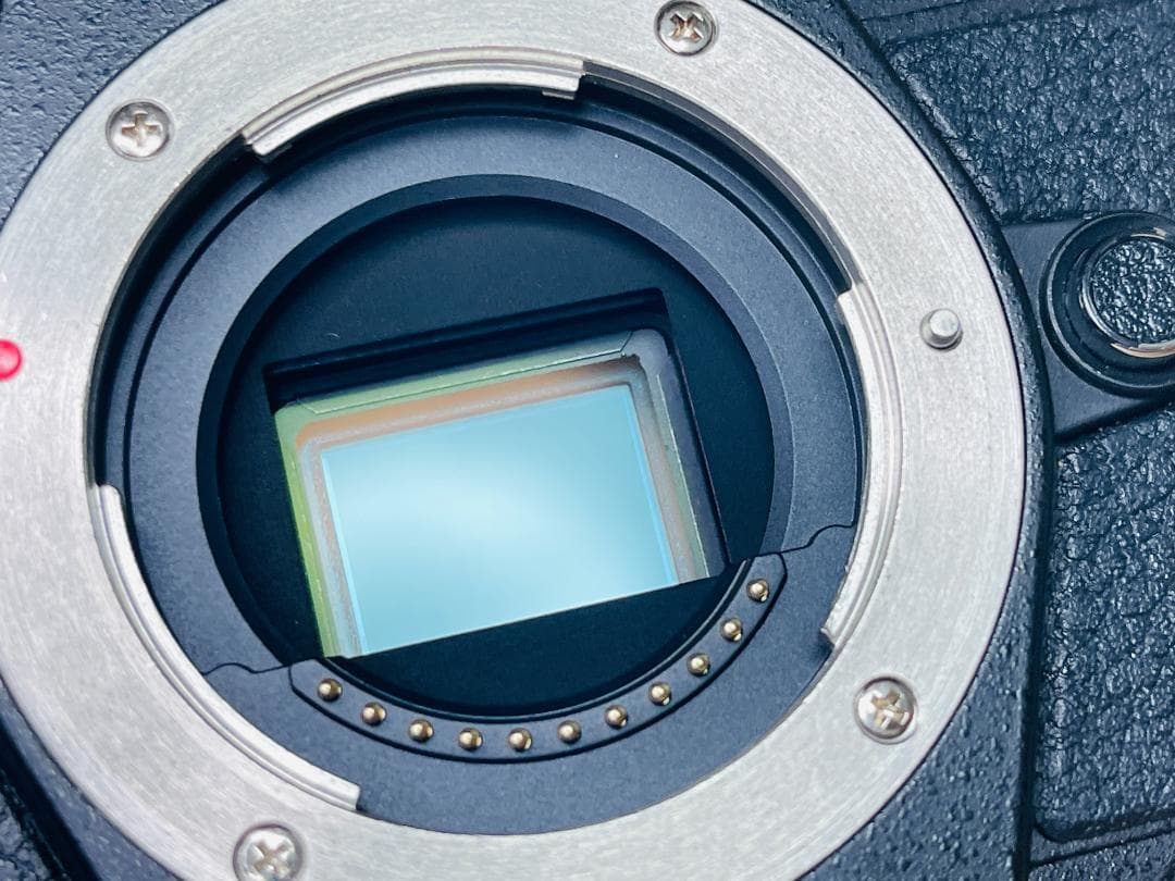 OLYMPUS OM-D E-M5 Mark II ミラーレス一眼カメラ