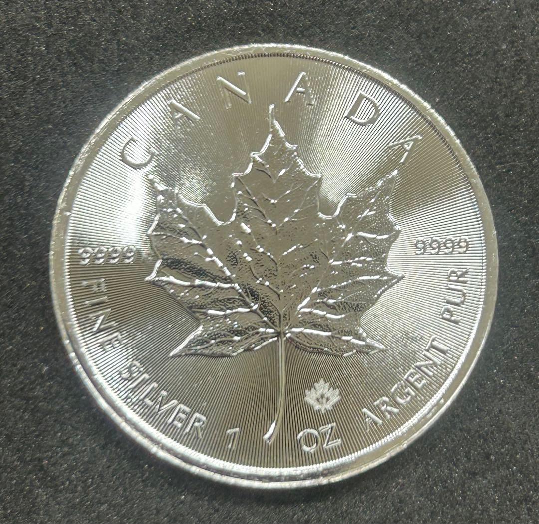 カナダ メープルリーフ 1オンス銀貨 2019年　ランダム