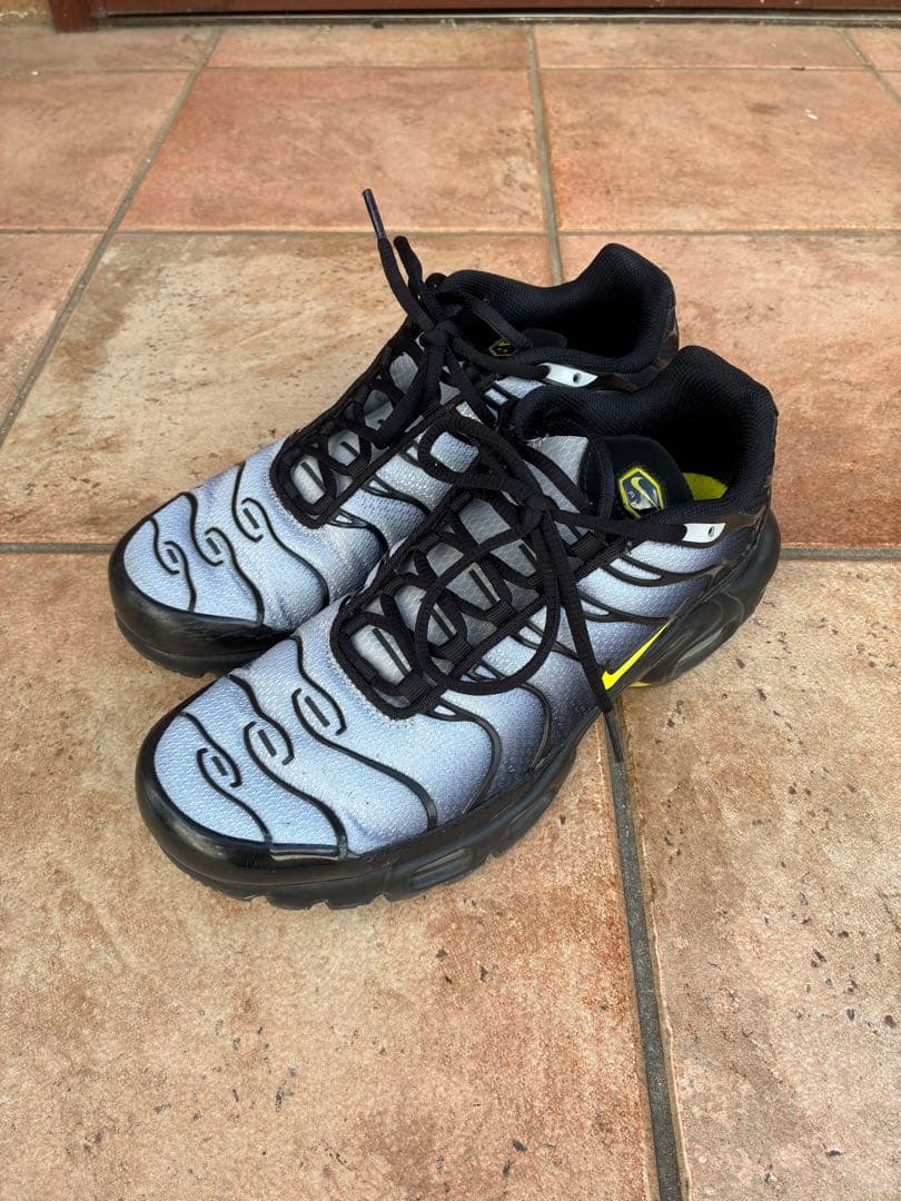 靴 NIKE AIRMAX PLUS tn 26cm