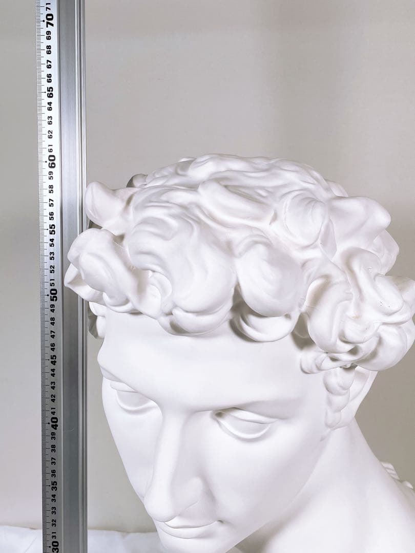 【良品】 石膏像 メディチ 胸像 顔 美術 スケッチ インテリア