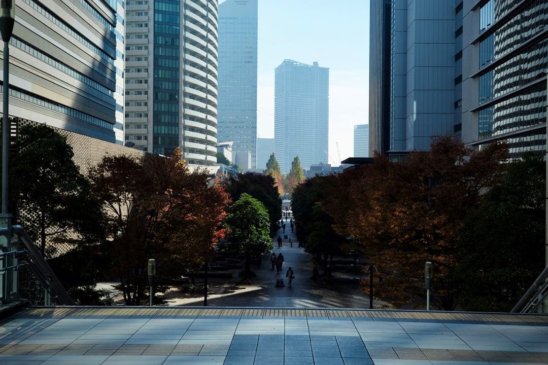 Leica 固定　ズミクロン　50mm F2