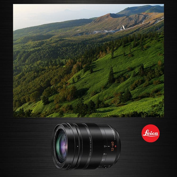 【極美品】LEICA DG VARIO-ELMARIT 12-60mm