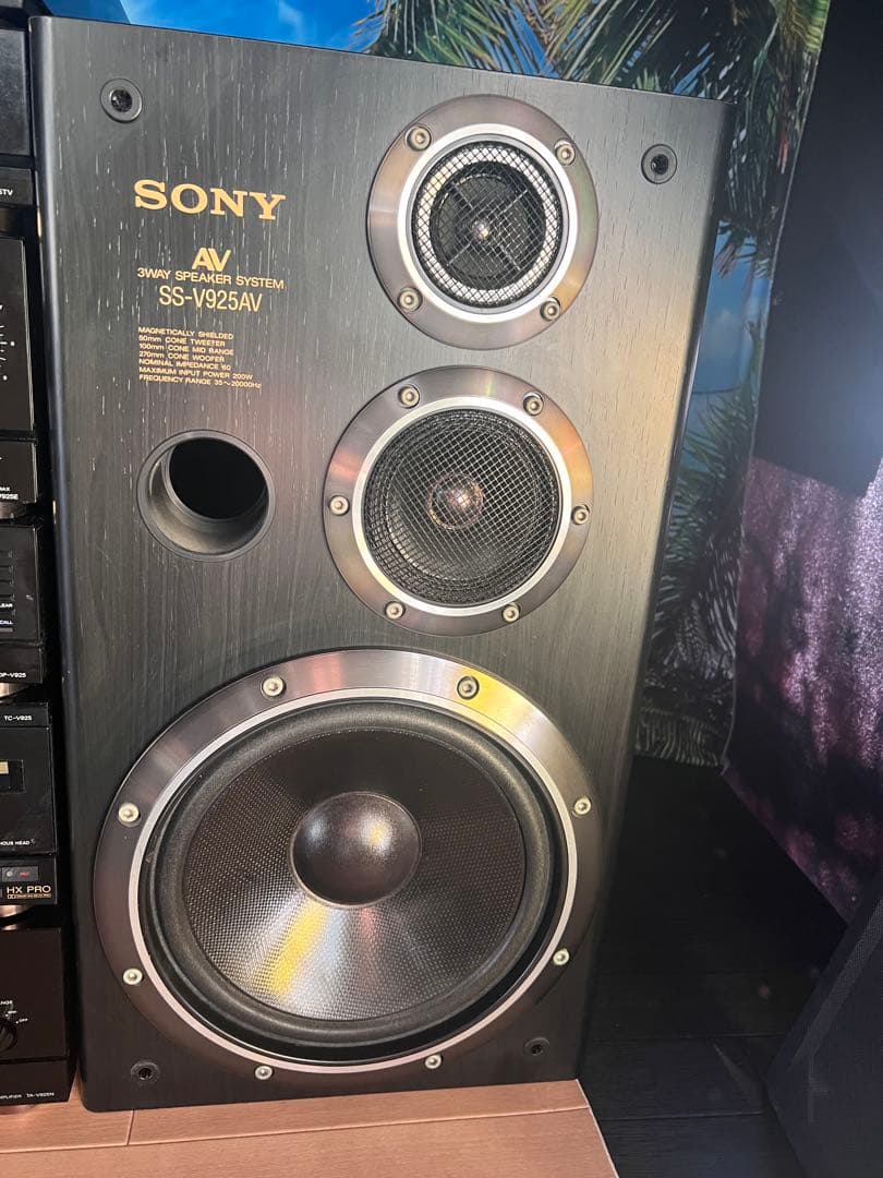 希少内蔵BT変更可能SONYリバティ LBT-V925 中古品レコード付き美品1