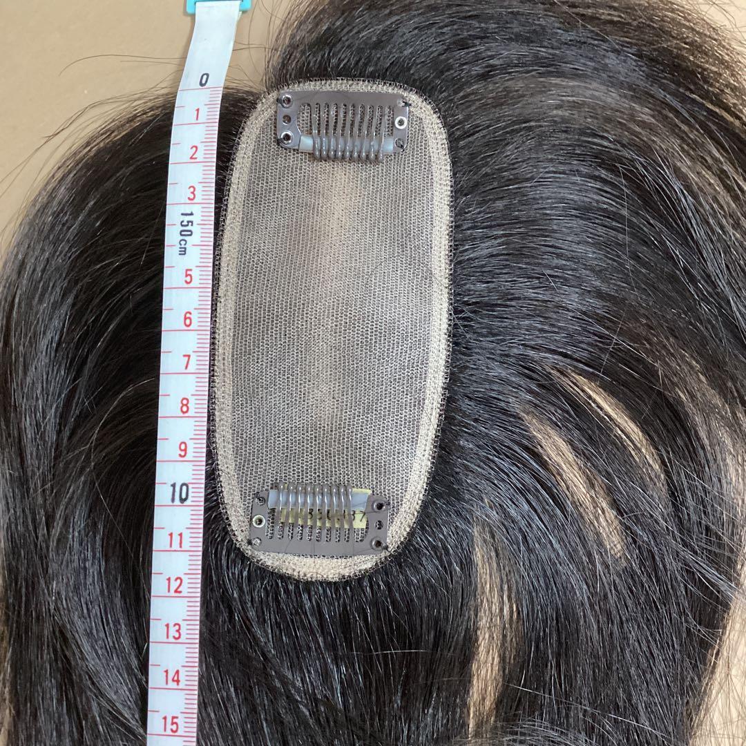 ジュリア・オージェ　JOT10N/DE2 トップウィッグ　アートネイチャー