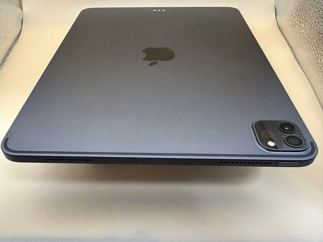 Apple iPad Pro (第2世代)11インチ +Apple Pencil