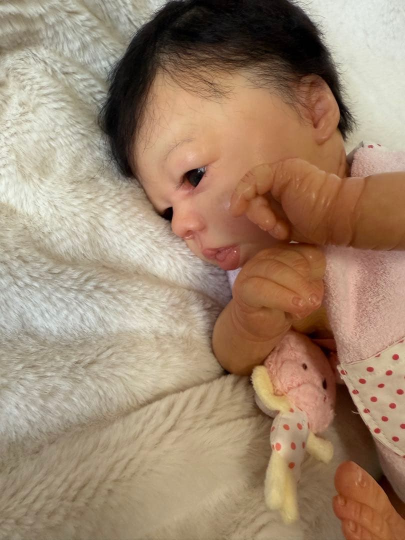 リボーンドール　Felicity