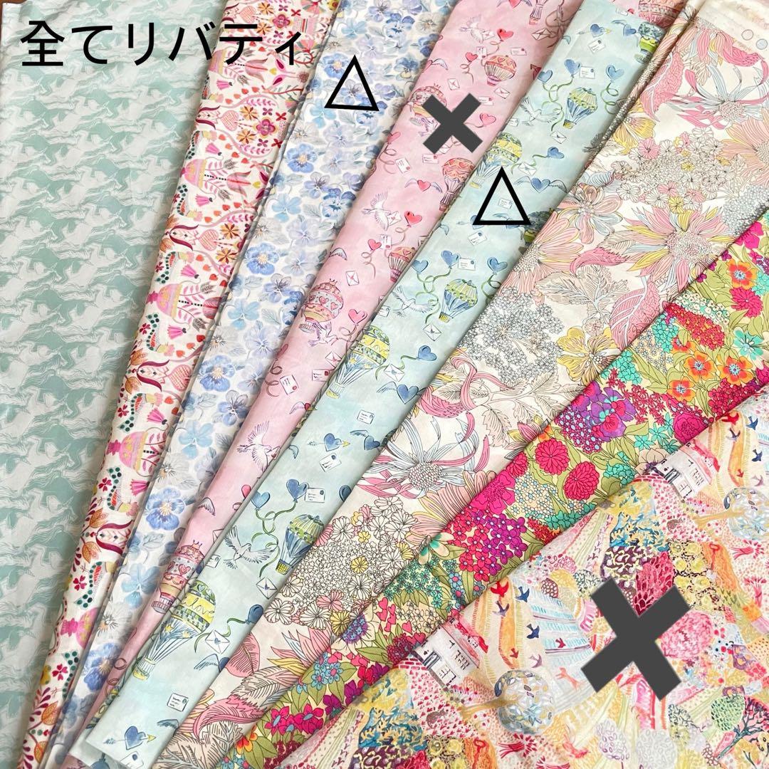 とんページピコタンpmサイズバッグインバッグ