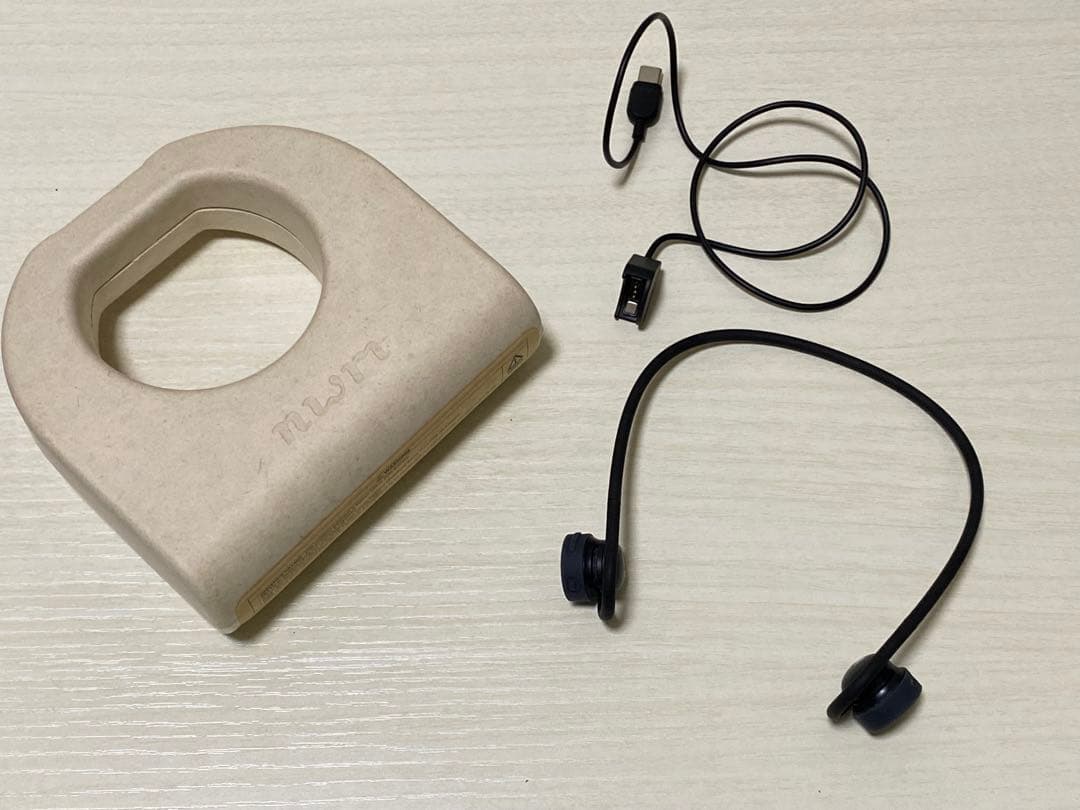 イヤホン NTT sonority nwm GO